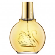 Vanderbilt Apa Toaleta 100Ml