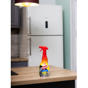 Triumf Solutie Frigidere 500Ml Triumf Solutie Frigidere 500Ml