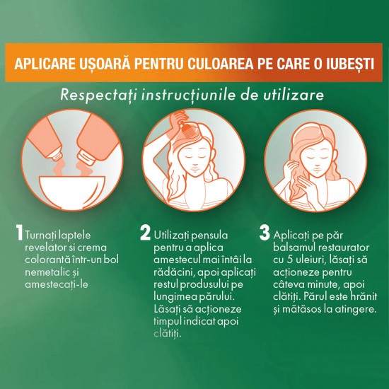 Garnier Color Naturals Vopsea Par 3 Saten Inchis