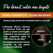 Garnier Color Naturals Vopsea Par 3 Saten Inchis