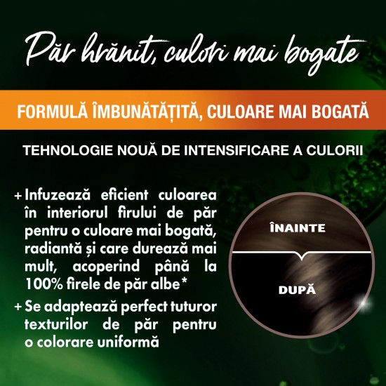 Garnier Color Naturals Vopsea Par 3 Saten Inchis
